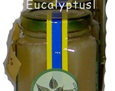 Honung smaksatt med Eucalyptus